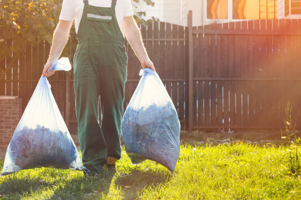 Same-Day Junk Removal Services in Heidelberg, TX